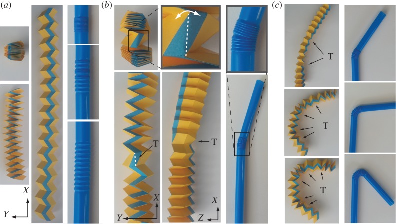 Figure 19.