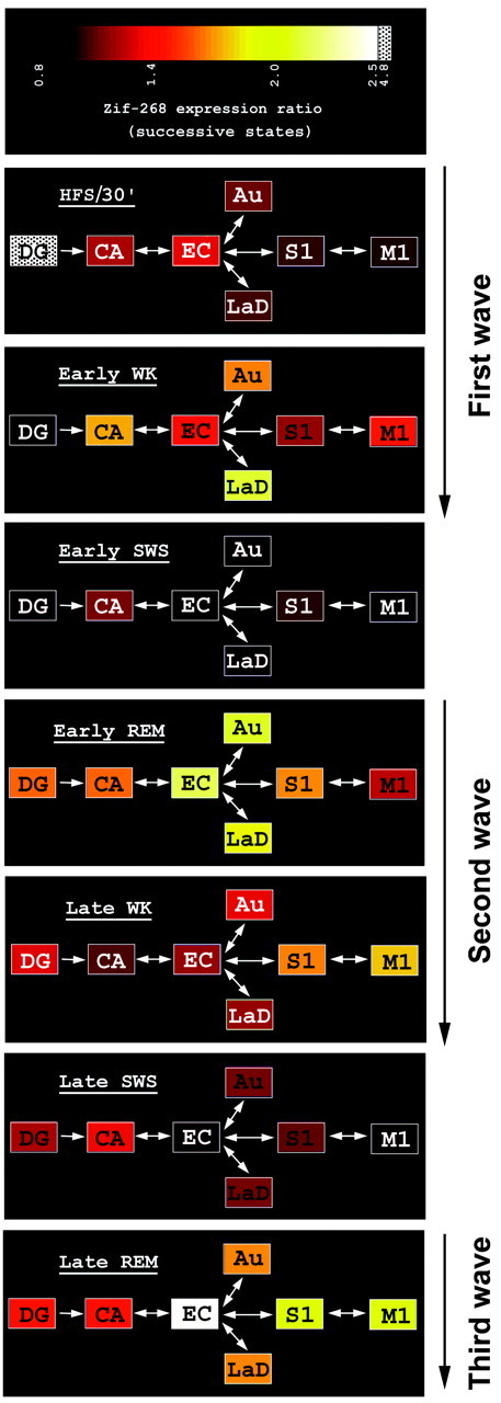 Fig. 6.