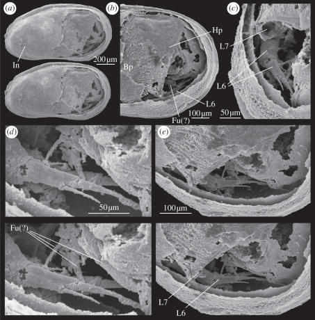 Figure 2.