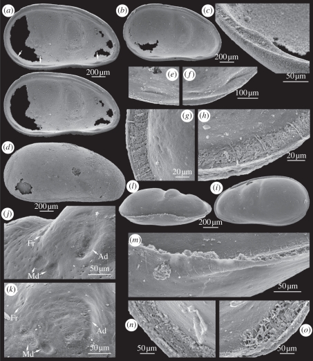 Figure 1.