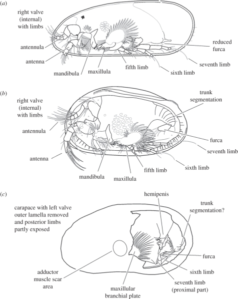 Figure 3.