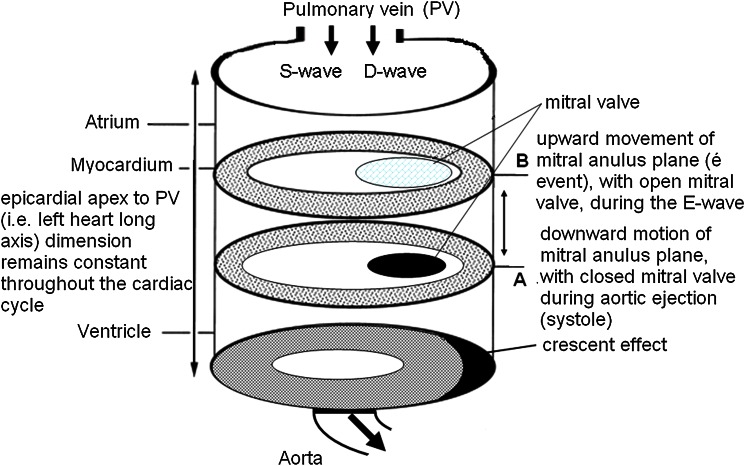 Fig. 1