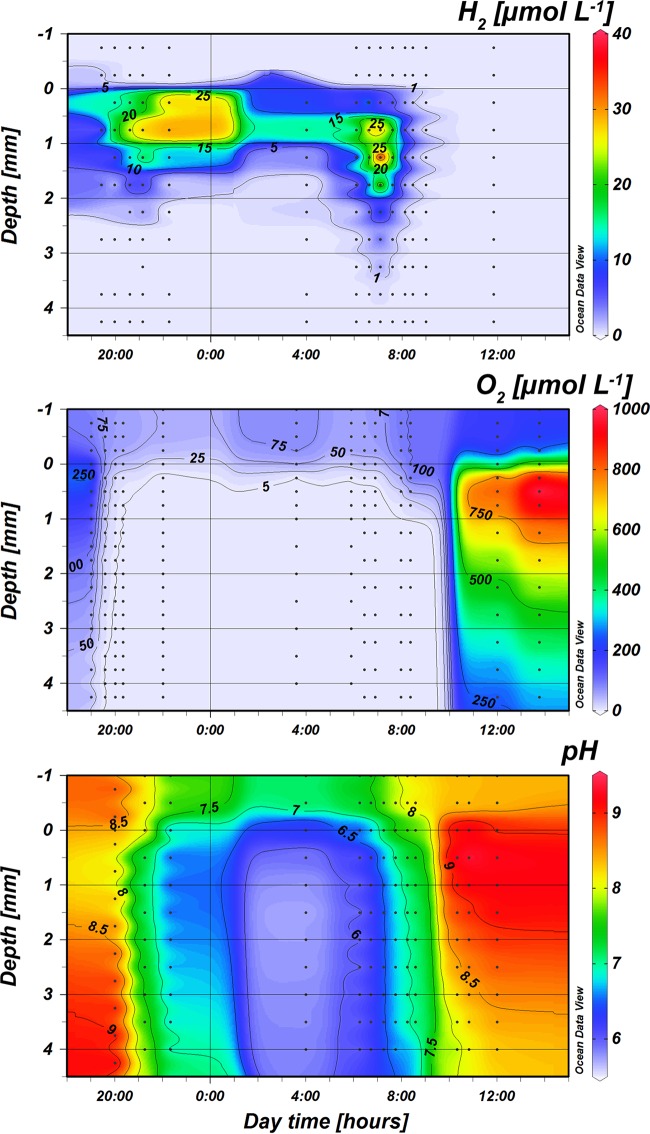 FIG 3