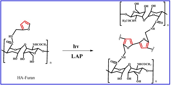 Scheme 3