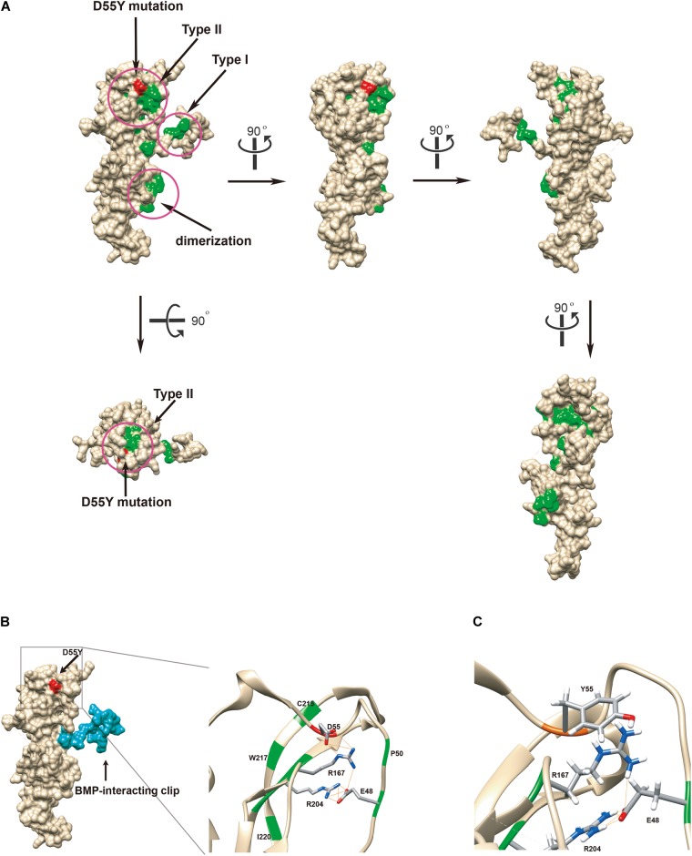 FIGURE 3