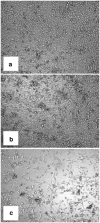 Fig. 7