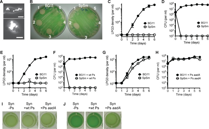 FIG 1