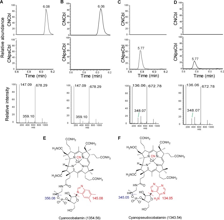 FIG 6