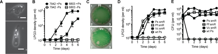 FIG 3