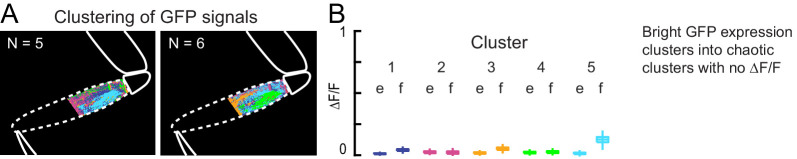 Figure 1—figure supplement 4.