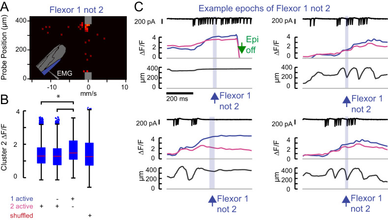 Figure 1—figure supplement 3.