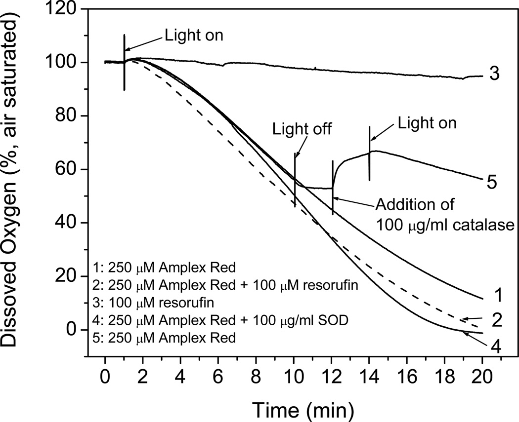 Photooxidation of Amplex Red to resorufin: implications of exposing the ...