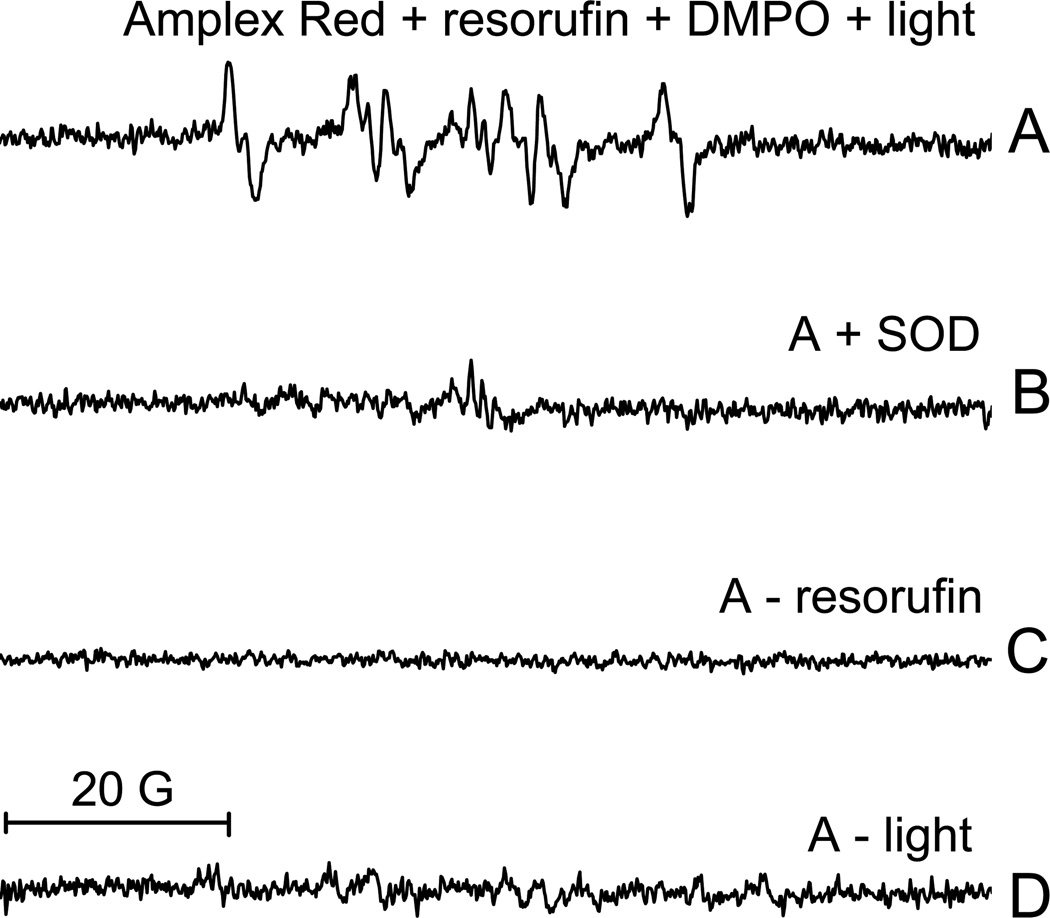 Photooxidation of Amplex Red to resorufin: implications of exposing the ...