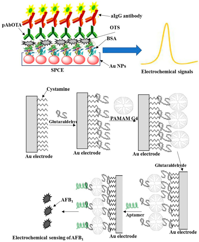 Figure 10