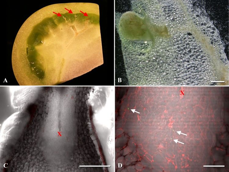 Fig 4