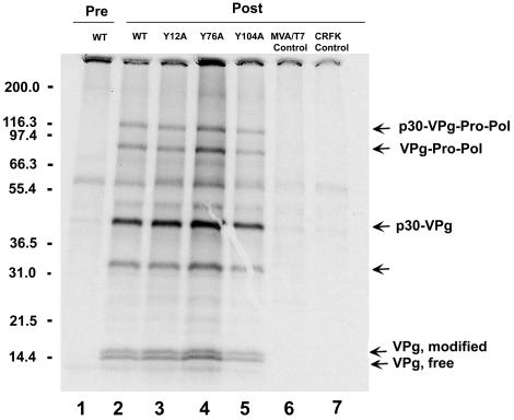 FIG. 5.