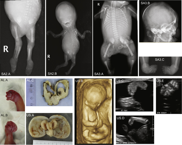 Figure 3