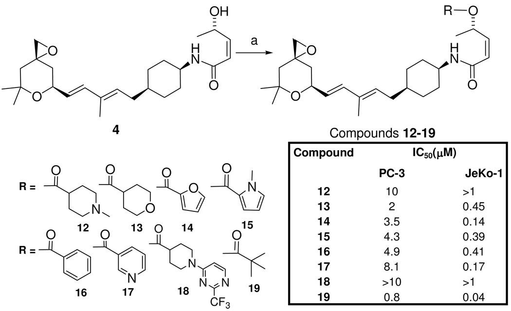 Scheme 2