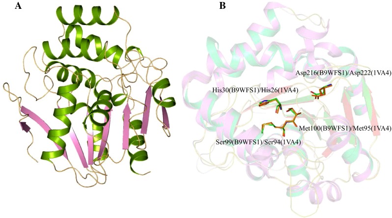 Fig. 5