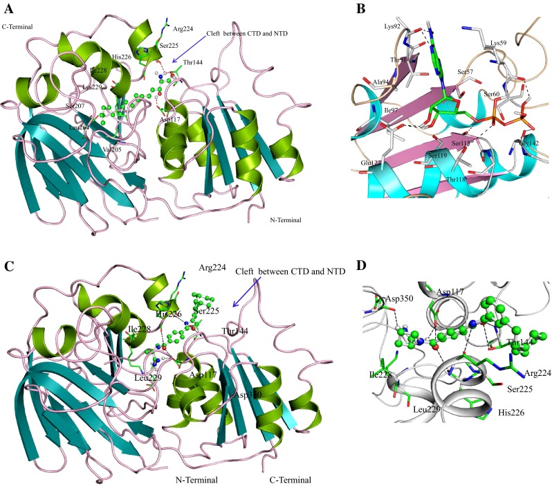 Fig. 2