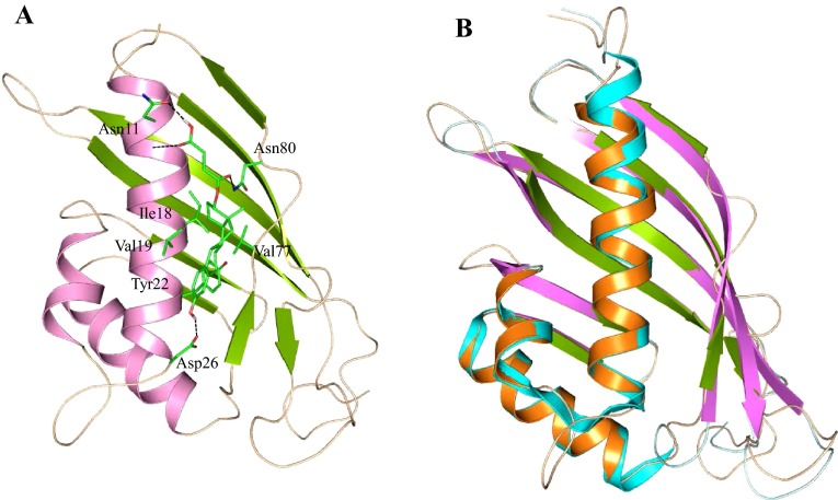 Fig. 4