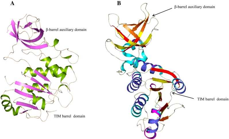 Fig. 6