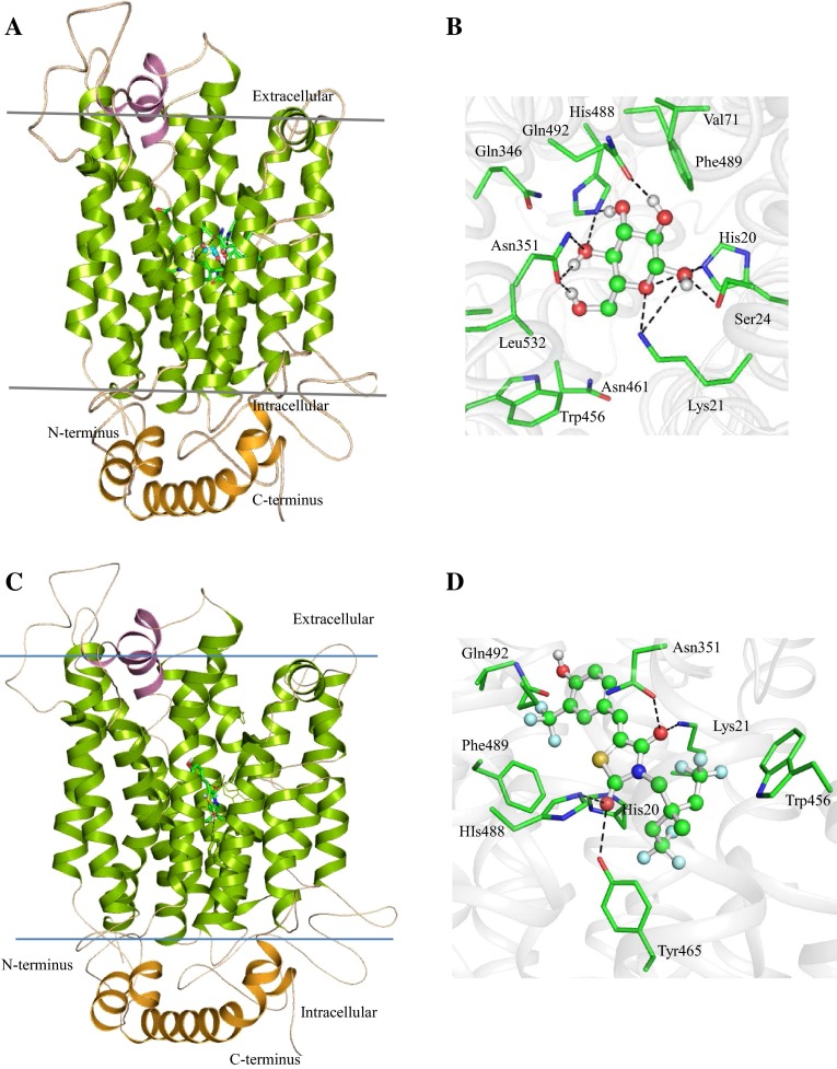 Fig. 1