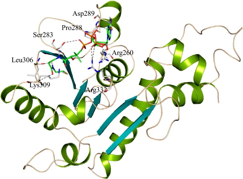 Fig. 3