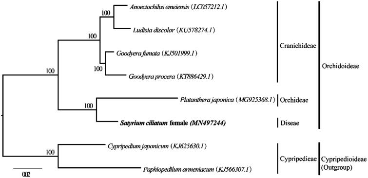 Figure 1.