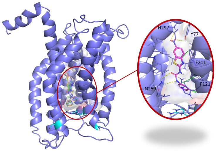 Figure 2