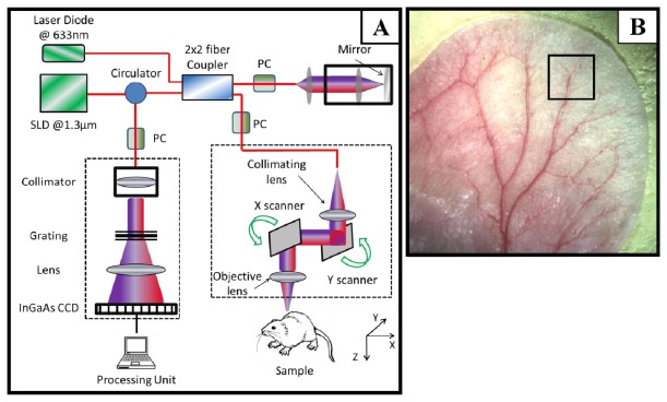 Fig. 1