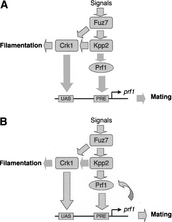 Figure 10.