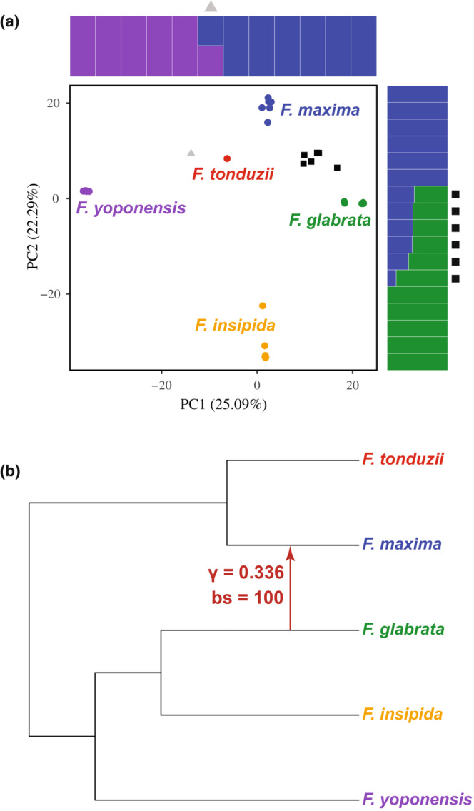 FIGURE 3