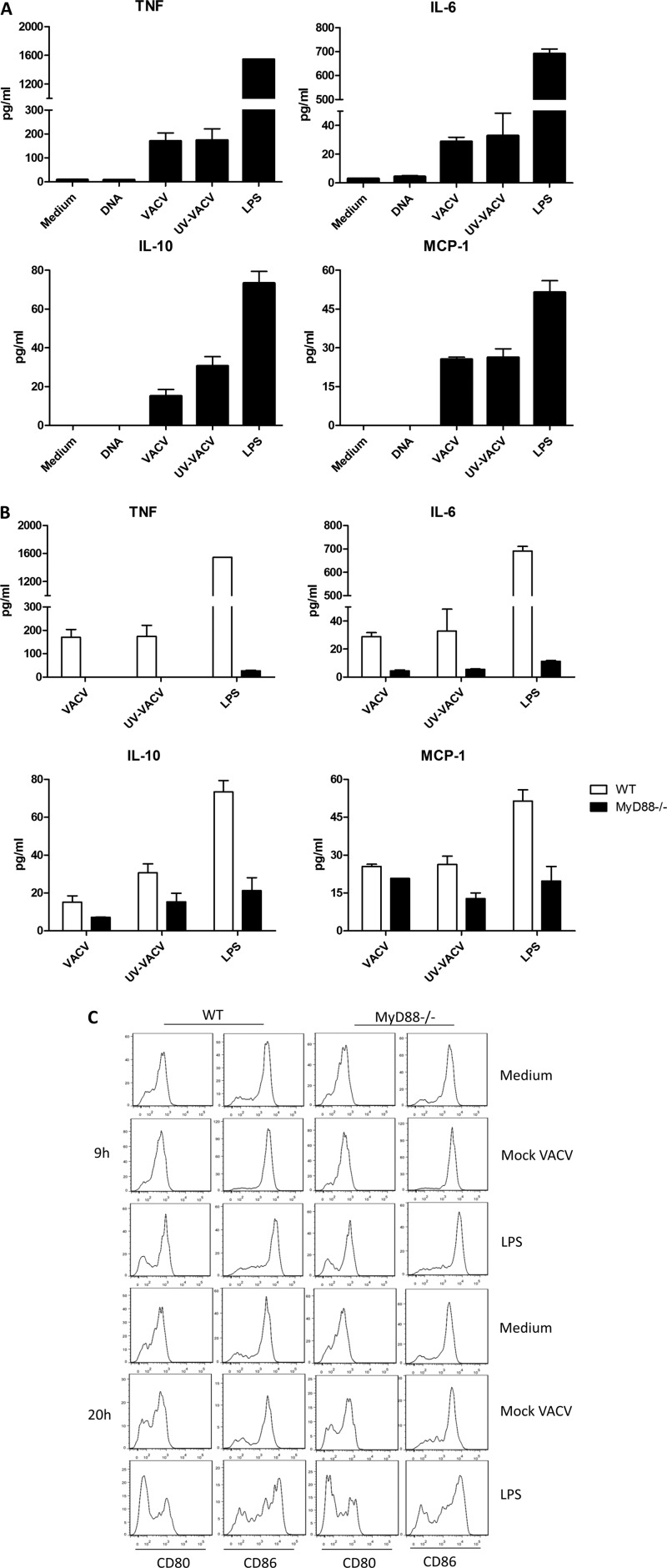 FIG 6