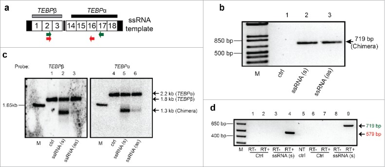 Figure 5.