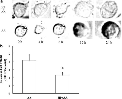 Fig. 3