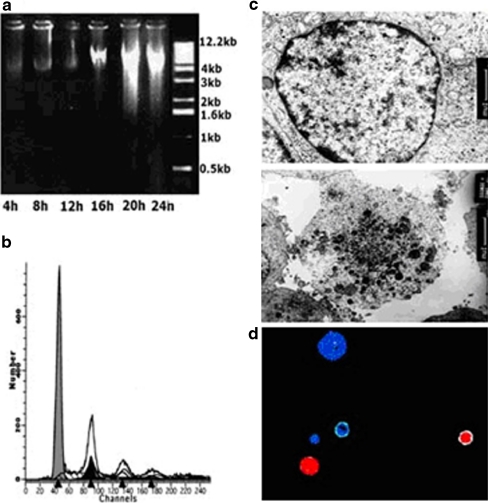 Fig. 1