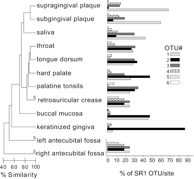 UGA is an additional glycine codon in uncultured SR1 bacteria from the ...