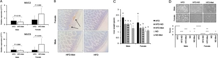 FIG 3