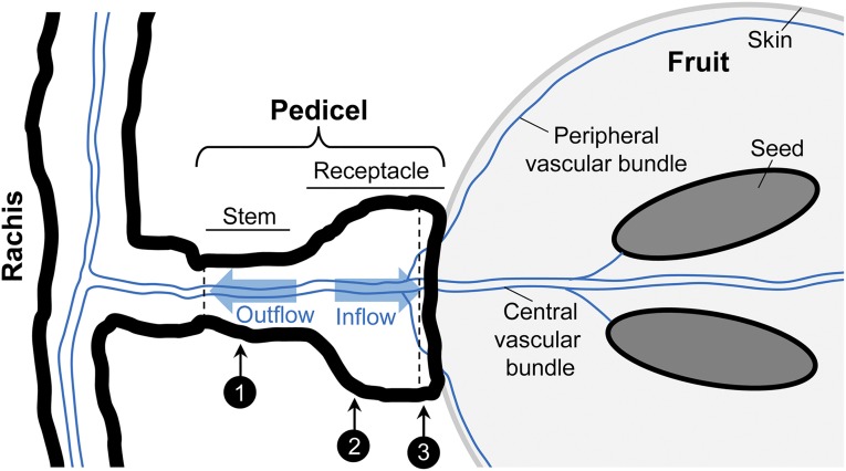 Figure 10.