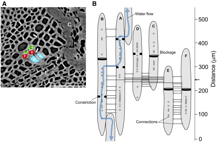 Figure 9.