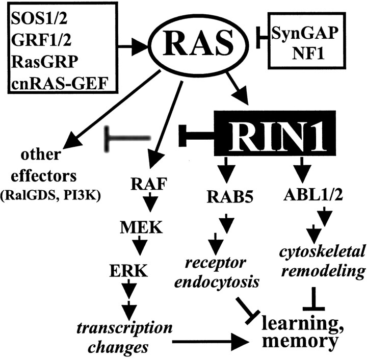 Fig. 9.