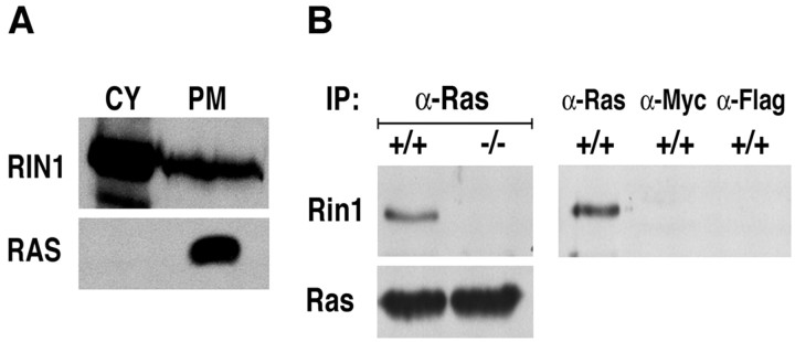 Fig. 8.