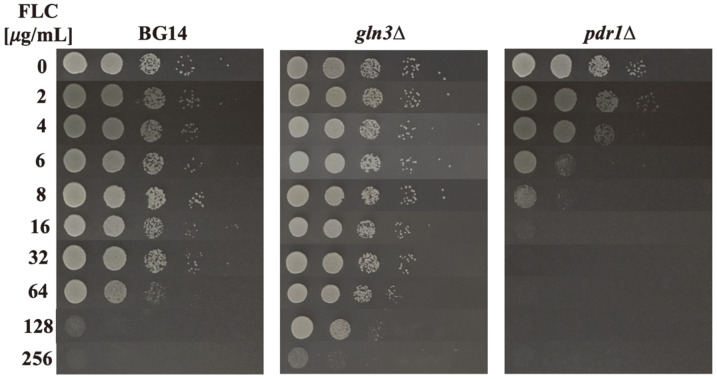 Fig. 4