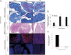 Supplementary Figure 3