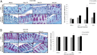 Supplementary Figure 1