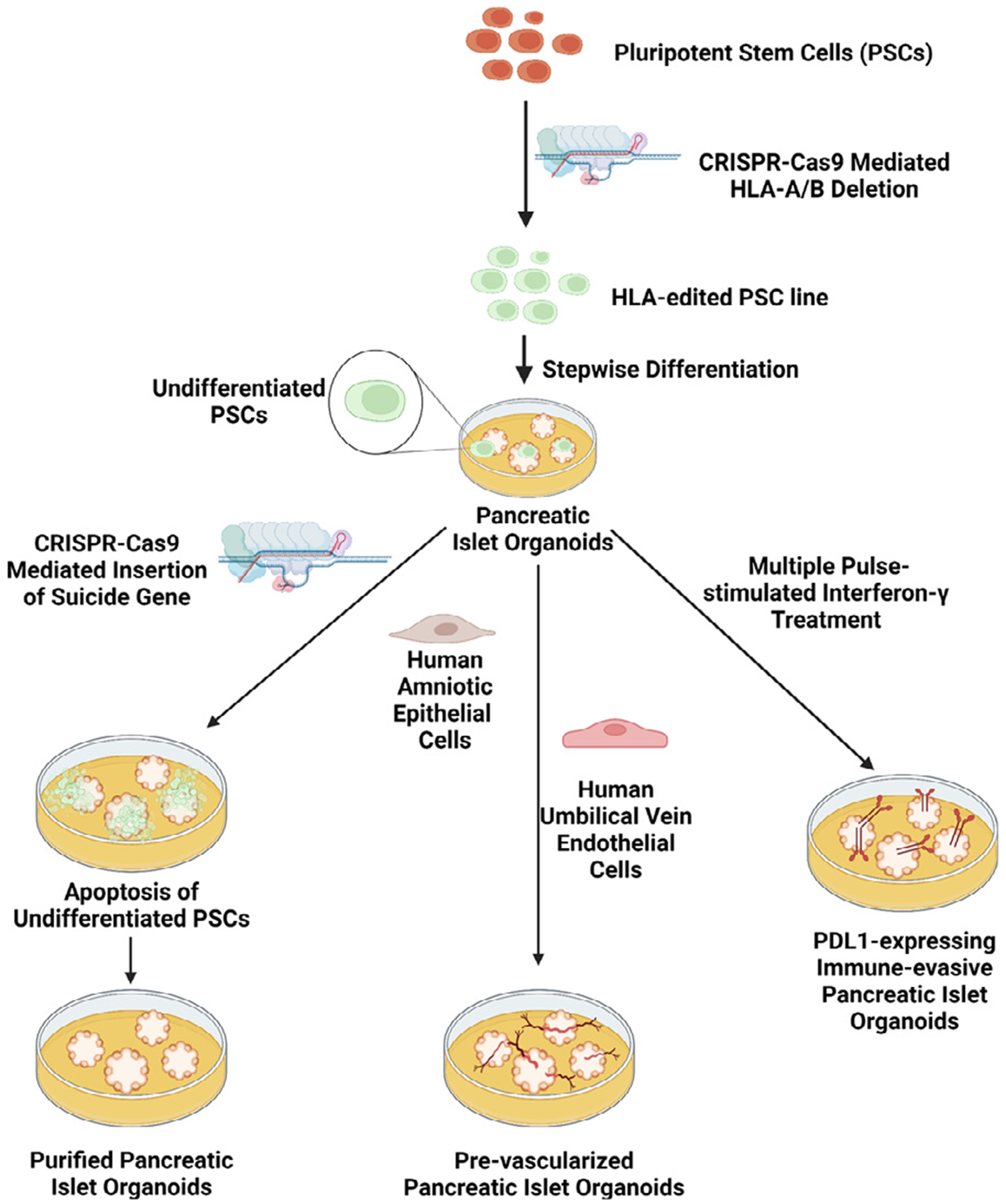 Fig 3.