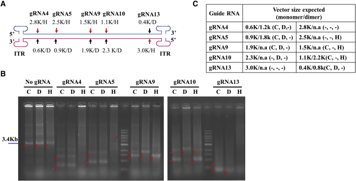 Figure 5