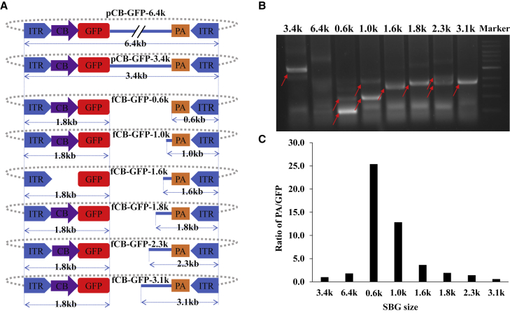 Figure 2