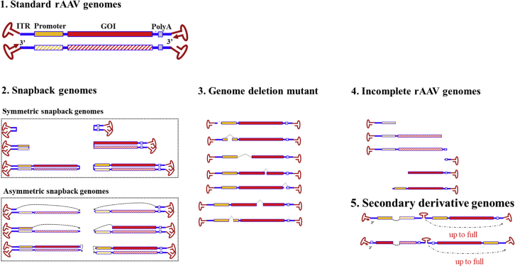 Figure 1